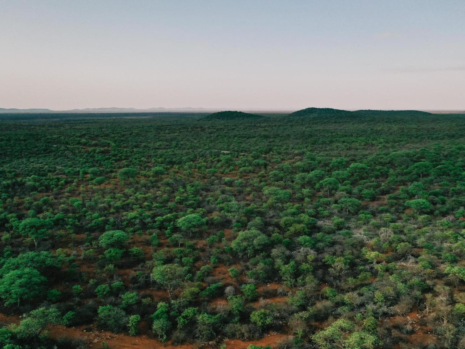 Kifaru Bush Camp Ξενοδοχείο Outjo Εξωτερικό φωτογραφία