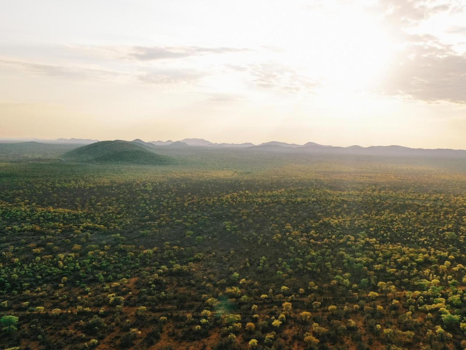 Kifaru Bush Camp Ξενοδοχείο Outjo Εξωτερικό φωτογραφία